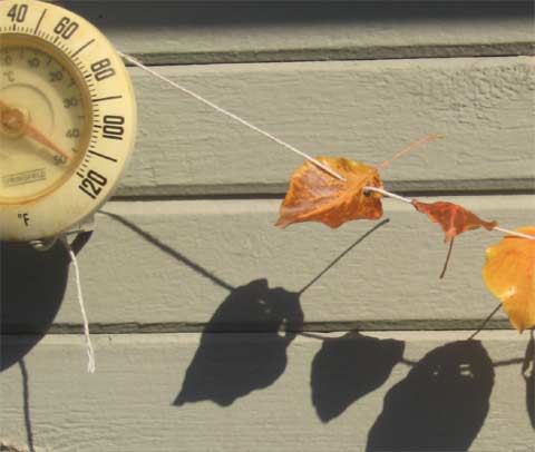 Fall? Hot leaf garland